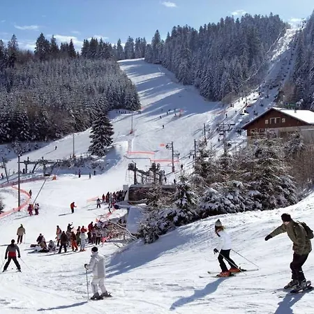 Les Camelias Chalet