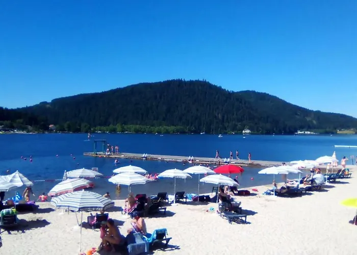 Horská chata Les Camelias *