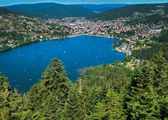 Les Camelias * 제라르메르