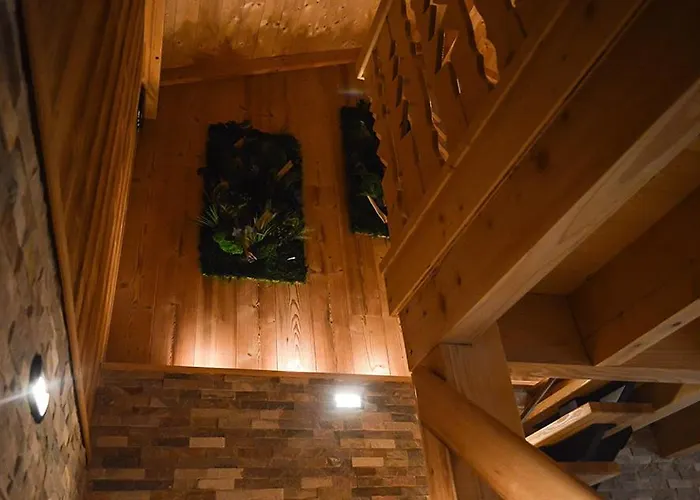 Les Camelias 제라르메르