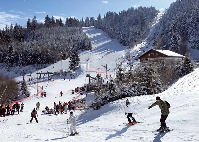 Les Camelias Horská chata